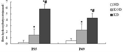 Neuro-Behavioral Status and the Hippocampal Expression of Metabolic Associated Genes in Wild-Type Rat Following a Ketogenic Diet